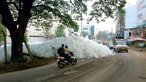 ಬೆಳ್ಳಂದೂರು ಕೆರೆ (ಸಂಗ್ರಹ ಚಿತ್ರ)