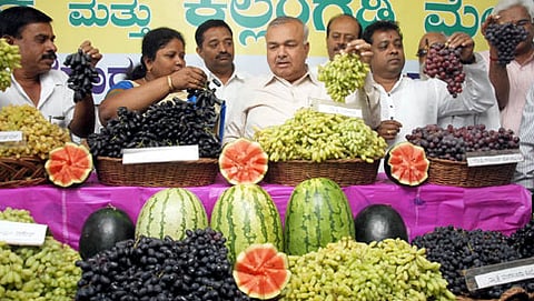 ಹಾಪ್ಕಾಮ್ಸ್ ಹಮ್ಮಿಕೊಂಡಿದ್ದ ದ್ರಾಕ್ಷಿ- ಕಲ್ಲಂಗಡಿ ಮೇಳ