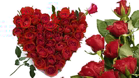 ಪ್ರೇಮಿಗಳ ದಿನದ ಸ್ಪೆಷಲ್ 'ತಾಜ್ ಮಹಲ್ ಗುಲಾಬಿ'