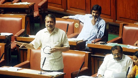ಸದನದಲ್ಲಿ ಪಾದಚಾರಿ ಮಾರ್ಗ