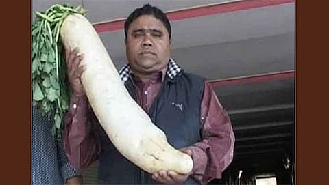 ಮುನ್ನಾಭಾಯ್