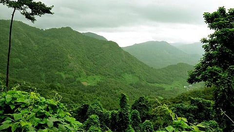 ಪಶ್ಚಿಮ ಘಟ್ಟ