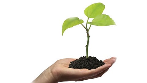 organic farming