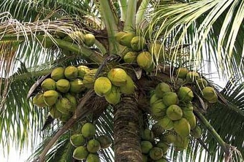 ಸಾಂದರ್ಭಿಕ ಚಿತ್ರ