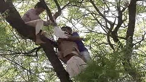 ಮರಕ್ಕೆ ನೇಣು ಬಿಗಿದುಕೊಂಡು ಆತ್ಮಹತ್ಯೆಗೆ ಯತ್ನಿಸಿದ ರೈತನನ್ನು ರಕ್ಷಿಸುತ್ತಿರುವ ಆಪ್ ಕಾರ್ಯಕರ್ತರು