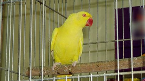 ಸಾಂದರ್ಭಿಕ ಚಿತ್ರ