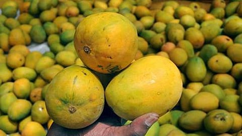 ಸಂಗ್ರಹ ಮೇಳ