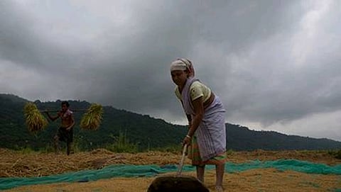 ಸಂಗ್ರಹ ಚಿತ್ರ