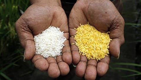 ಸಾಂದರ್ಭಿಕ ಚಿತ್ರ