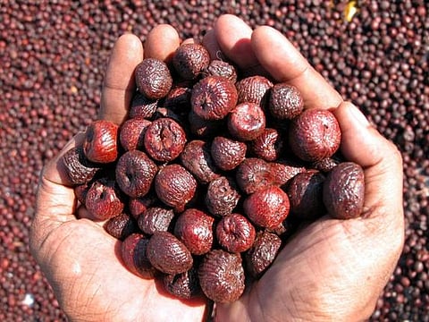 ಸಾಂದರ್ಭಿಕ ಚಿತ್ರ