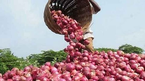 ಅಕ್ಟೋಬರ್ವರೆಗೂ ಈರುಳ್ಳಿ ದರ ಗಗನಮುಖಿ (ಸಂಗ್ರಹ ಚಿತ್ರ)
