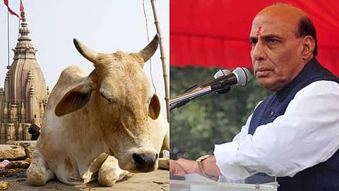 ಕೇಂದ್ರ ಗೃಹ ಸಚಿವ ರಾಜನಾಥ ಸಿಂಗ್ (ಸಂಗ್ರಹ ಚಿತ್ರ)