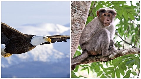 ಸಾಂದರ್ಭಿಕ ಚಿತ್ರ