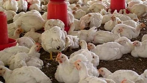 ಸಾಂದರ್ಭಿಕ ಚಿತ್ರ