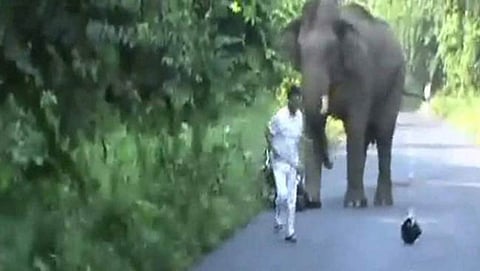 ಆನೆ ದಾಳಿಗೊಳಗಾದ ಬೈಕ್ ಸವಾರರು
