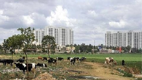 ಭೂಗಳ್ಳತನ (ಸಂಗ್ರಹ ಚಿತ್ರ)