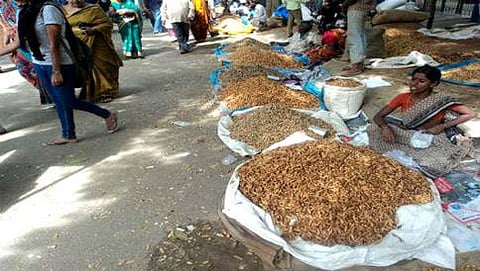 ಕಡಲೇಕಾಯಿ ಪರಿಷೆ(ಸಂಗ್ರಹ ಚಿತ್ರ)