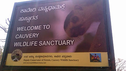 ಕಾವೇರಿ ವನ್ಯಧಾಮ (ಸಂಗ್ರಹ ಚಿತ್ರ)