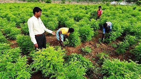 ಸಾಂದರ್ಭಿಕ ಚಿತ್ರ