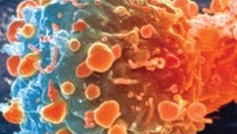 ಸಾಂದರ್ಭಿಕ ಚಿತ್ರ