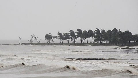 ಸಂಗ್ರಹ ಚಿತ್ರ