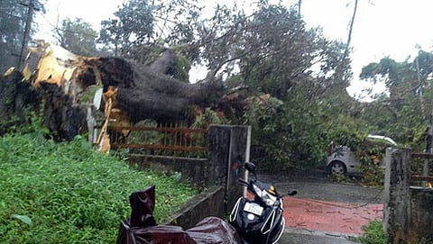 ಸಂಗ್ರಹ ಚಿತ್ರ