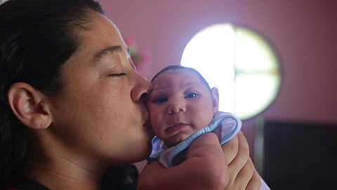 ಝಿಕಾ ವೈರಾಣು (ಸಂಗ್ರಹ ಚಿತ್ರ)