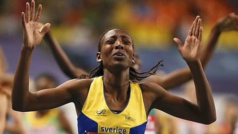 ಅಬೆಬಾ ಅರೆಗಾವಿ