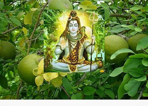 ಸಂಗ್ರಹ ಚಿತ್ರ