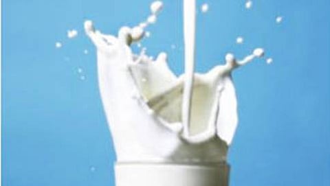 ಸಾಂದರ್ಭಿಕ ಚಿತ್ರ