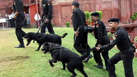 ಭಾರತೀಯ ಸೇನೆಯ ಶ್ವಾನದಳ (ಸಾಂದರ್ಭಿಕ ಚಿತ್ರ)