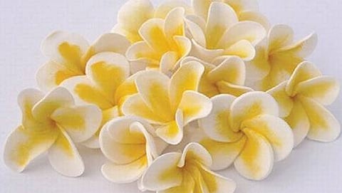 ಸಾಂದರ್ಭಿಕ ಚಿತ್ರ