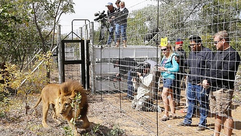 ವನ್ಯಜೀವಿಗಳ ಬೃಹತ್ ಏರ್ ಲಿಫ್ಟ್ ಕಾರ್ಯಾಚರಣೆ