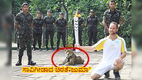 ಒಲಿಂಪಿಕ್ಸ್ ಜ್ಯೋತಿ ಕಾರ್ಯಕ್ರಮದಲ್ಲಿ ಸಾವಿಗೀಡಾದ ಚಿರತೆ ಜುಮಾ (ರಾಯಿಟರ್ಸ್ ಚಿತ್ರ)