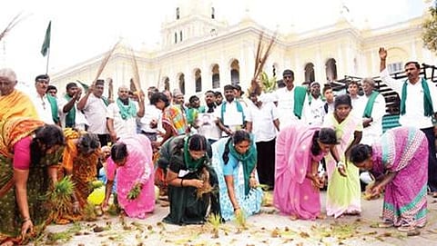 ಮೈಸೂರು ಜಿಲ್ಲಾಧಿಕಾರಿ ಕಚೇರಿ ಬಳಿ ಭತ್ತ ಬೆಳೆಯನ್ನು ಬಿತ್ತುವ ಮೂಲಕ ಕರ್ನಾಟಕ ರಾಜ್ಯ ಕಬ್ಬು ಬೆಳೆಗಾರರ ಸಂಘ ಪ್ರತಿಭಟನೆ ನಡೆಸುತ್ತಿರುವುದು.
