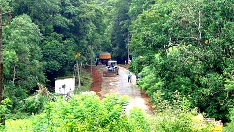 ದಾಂಡೇಲಿ-ಅಣಶಿ ಹುಲಿ ಸಂರಕ್ಷಿತಾರಣ್ಯ ಪ್ರದೇಶ