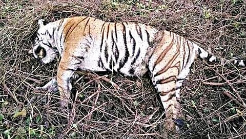 ಸಂಗ್ರಹ ಚಿತ್ರ