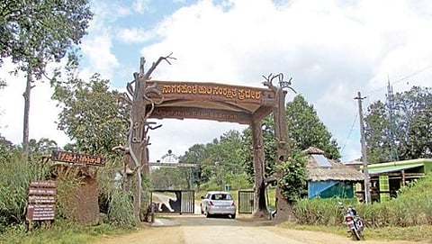 ನಾಗರಹೊಳೆ ಹುಲಿ ಸಂರಕ್ಷಿತ ಪ್ರದೇಶ