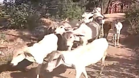 ಸಾಂದರ್ಭಿಕ ಚಿತ್ರ