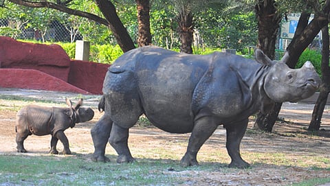 ಸಂಗ್ರಹ ಚಿತ್ರ