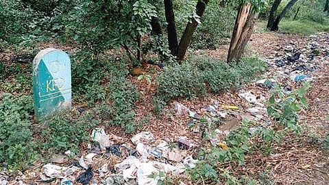 ಸಾಂದರ್ಭಿಕ ಚಿತ್ರ