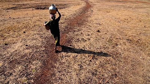 ಸಾಂದರ್ಭಿಕ ಚಿತ್ರ