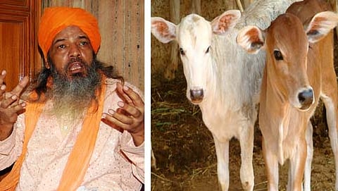 ಸಂಗ್ರಹ ಚಿತ್ರ