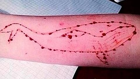 ಸಂಗ್ರಹ ಚಿತ್ರ