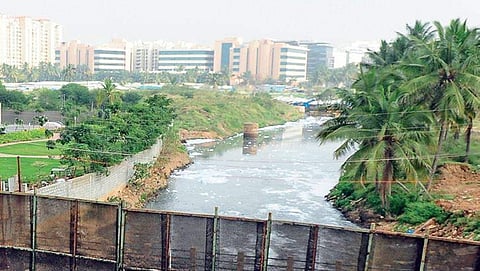 ಬೆಳ್ಳಂದೂರು ಕೆರೆಯ (ಸಾಂದರ್ಭಿಕ ಚಿತ್ರ)