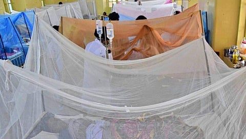 ಸಂಗ್ರಹ ಚಿತ್ರ