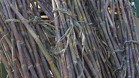 ಸಾಂದರ್ಭಿಕ ಚಿತ್ರ