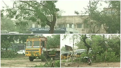 ನಾಗಪಟ್ಟಣಂನಲ್ಲಿ ಗಜ ಚಂಡಮಾರುತದ ಪರಿಣಾಮ