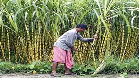 ಸಾಂದರ್ಭಿಕ ಚಿತ್ರ