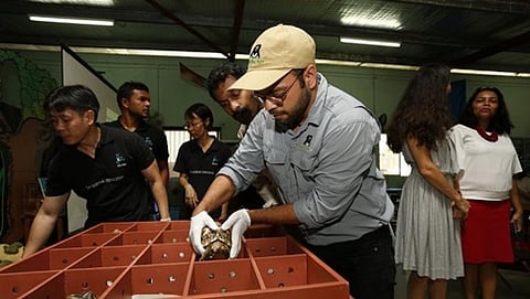 ದೆಹಲಿಯ ರಕ್ಷಣಾ ಕೇಂದ್ರದಲ್ಲಿ ರಕ್ಷಿಸಲ್ಪಟ್ಟ ನಕ್ಷತ್ರ ಆಮೆಗಳು